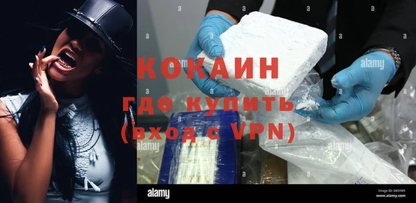 бошки Ельня