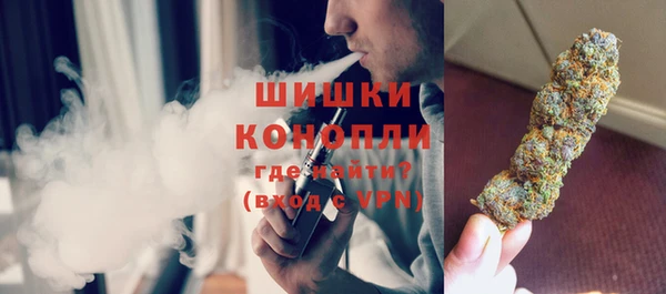крисы Елабуга
