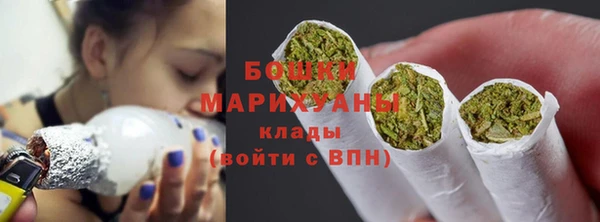 крисы Елабуга
