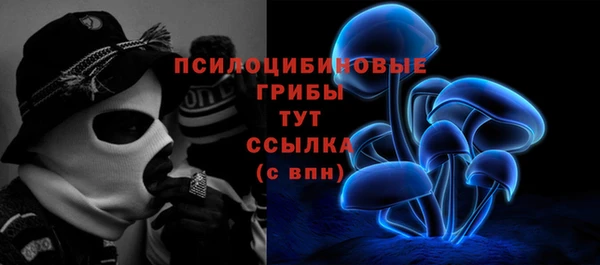 бошки Ельня