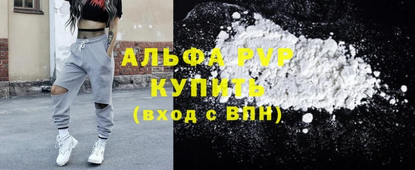 бошки Ельня