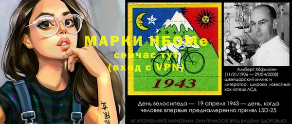 крисы Елабуга