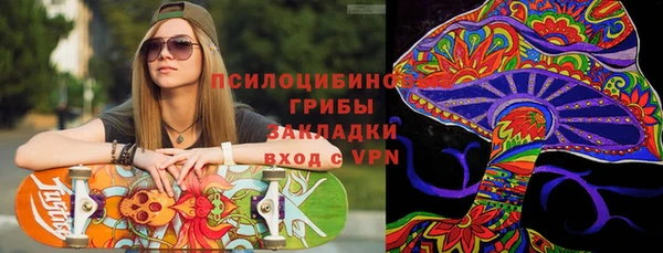 бошки Ельня