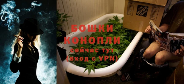 крисы Елабуга
