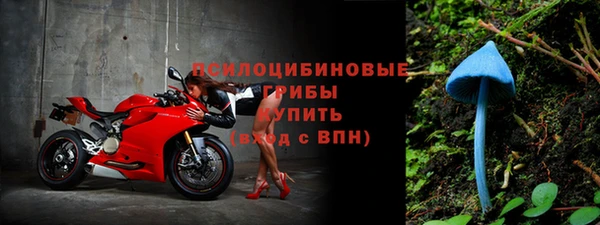 бошки Ельня