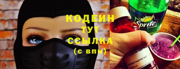 крисы Елабуга