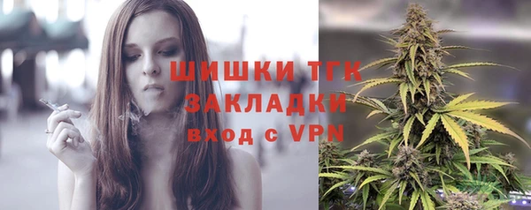 бошки Ельня