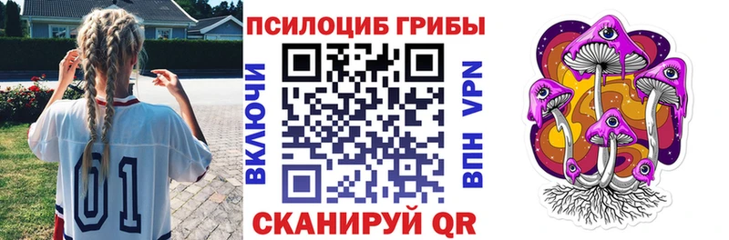 Галлюциногенные грибы Psilocybe закладки darknet клад Мышкин